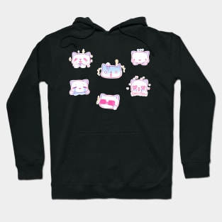 Bun the Cat - 1 Hoodie